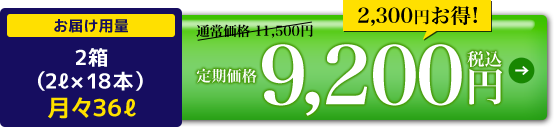 定期価格9,200円税込