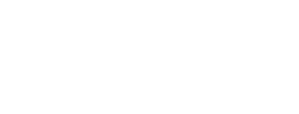 数量限定